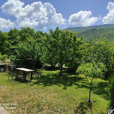 Aleks Villa Охрид Екстериор снимка